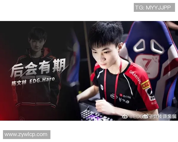 赛后分析：JDG与LNG对抗中的战术意识与团队配合探讨