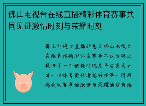 佛山电视台在线直播精彩体育赛事共同见证激情时刻与荣耀时刻